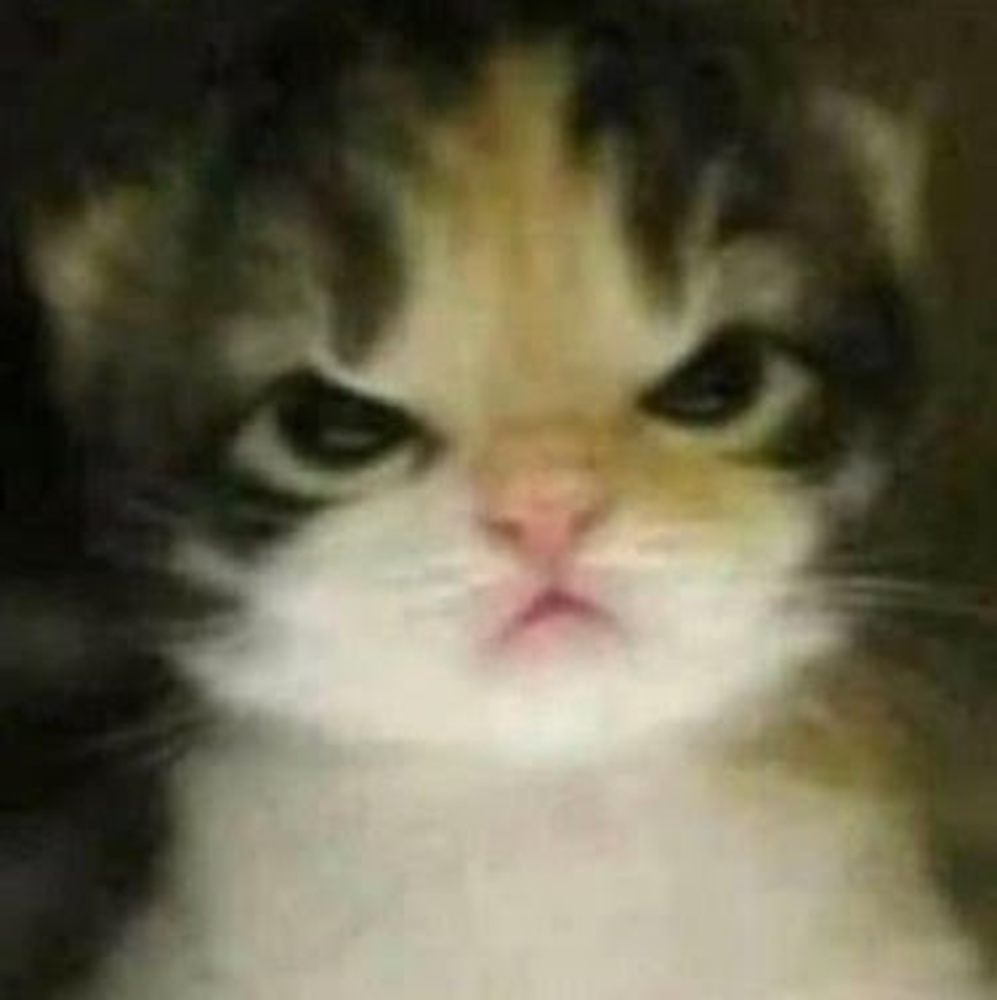 Meet your Posher, I need a nap